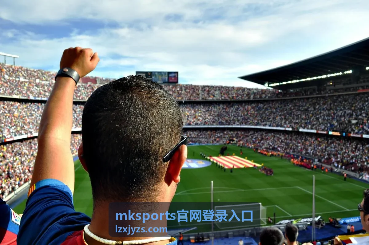 mksports官网登录入口 设备与网络环境检查示意