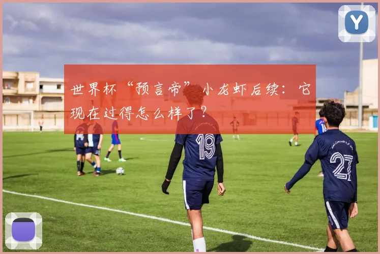 世界杯“预言帝”小龙虾后续：它现在过得怎么样了？