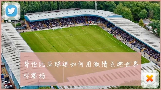 哥伦比亚球迷如何用激情点燃世界杯赛场